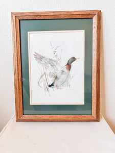 Vintage Framed Duck Prints