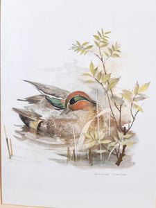 Vintage Framed Duck Prints