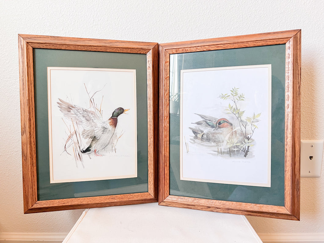 Vintage Framed Duck Prints