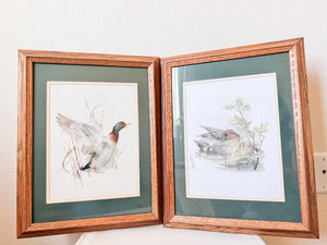 Vintage Framed Duck Prints