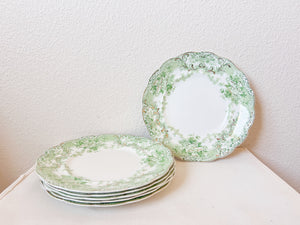 Antique Florentine Plate Set