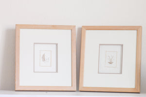 Pair of Paper Flower Frames