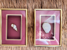 Load image into Gallery viewer, Framed Gold Plated Seashells
