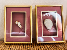 Load image into Gallery viewer, Framed Gold Plated Seashells
