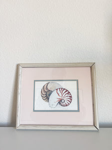 Framed Seashell Print