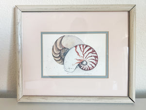 Framed Seashell Print