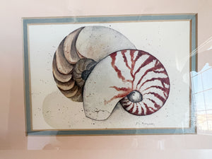 Framed Seashell Print