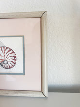 Load image into Gallery viewer, Framed Seashell Print
