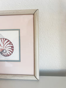 Framed Seashell Print