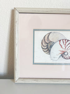 Framed Seashell Print