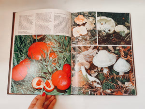 Mushrooms and Fungi Coffee Table Book