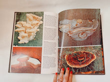 Load image into Gallery viewer, Mushrooms and Fungi Coffee Table Book
