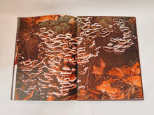 Load image into Gallery viewer, Mushrooms and Fungi Coffee Table Book
