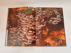 Mushrooms and Fungi Coffee Table Book