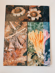 Mushrooms and Fungi Coffee Table Book