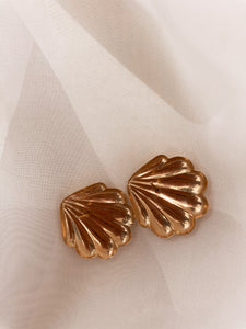 Gold  Shell Earrings