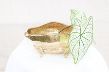 Load image into Gallery viewer, Clawfoot Brass Planter
