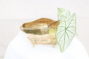 Clawfoot Brass Planter