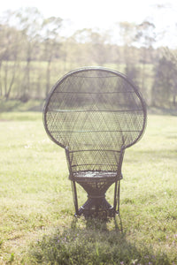 Black Peacock Chair