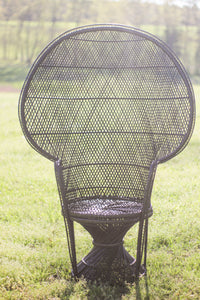 Black Peacock Chair