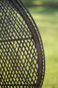 Black Peacock Chair