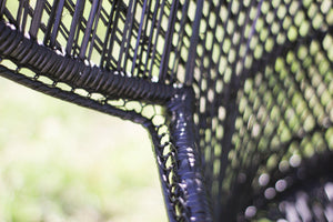 Black Peacock Chair